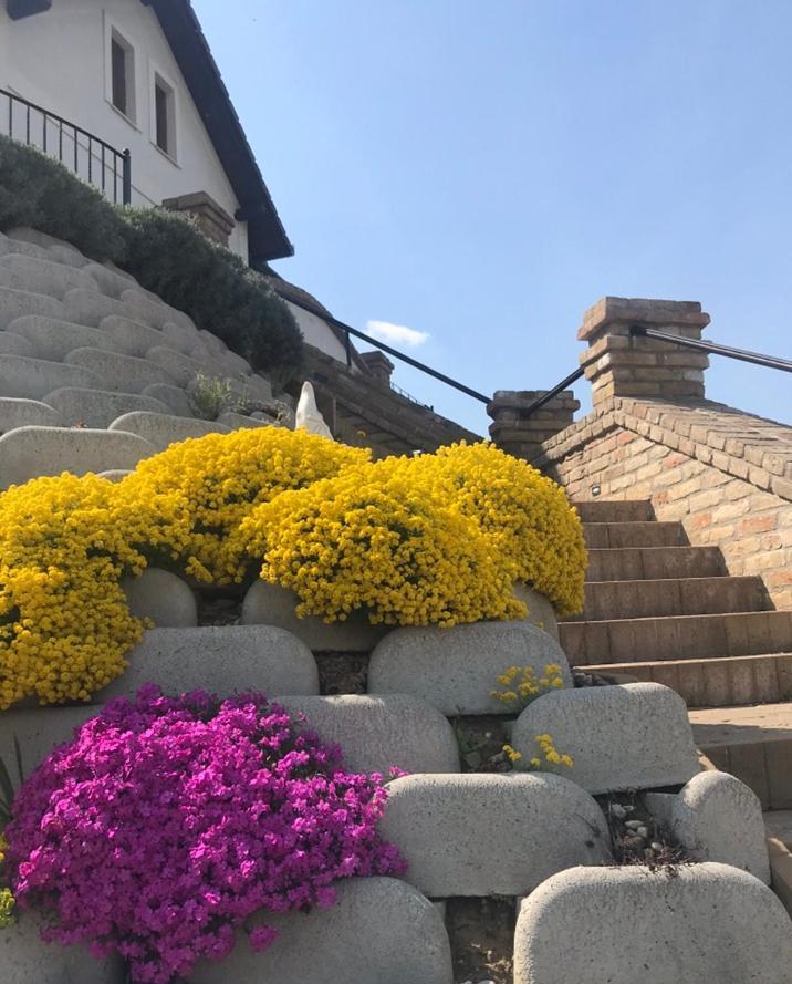 Vass-Villa Vendeghaz Szekszard Bagian luar foto