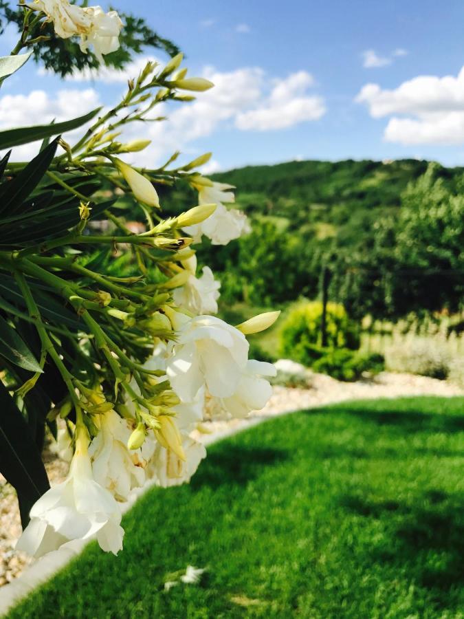 Vass-Villa Vendeghaz Szekszard Bagian luar foto