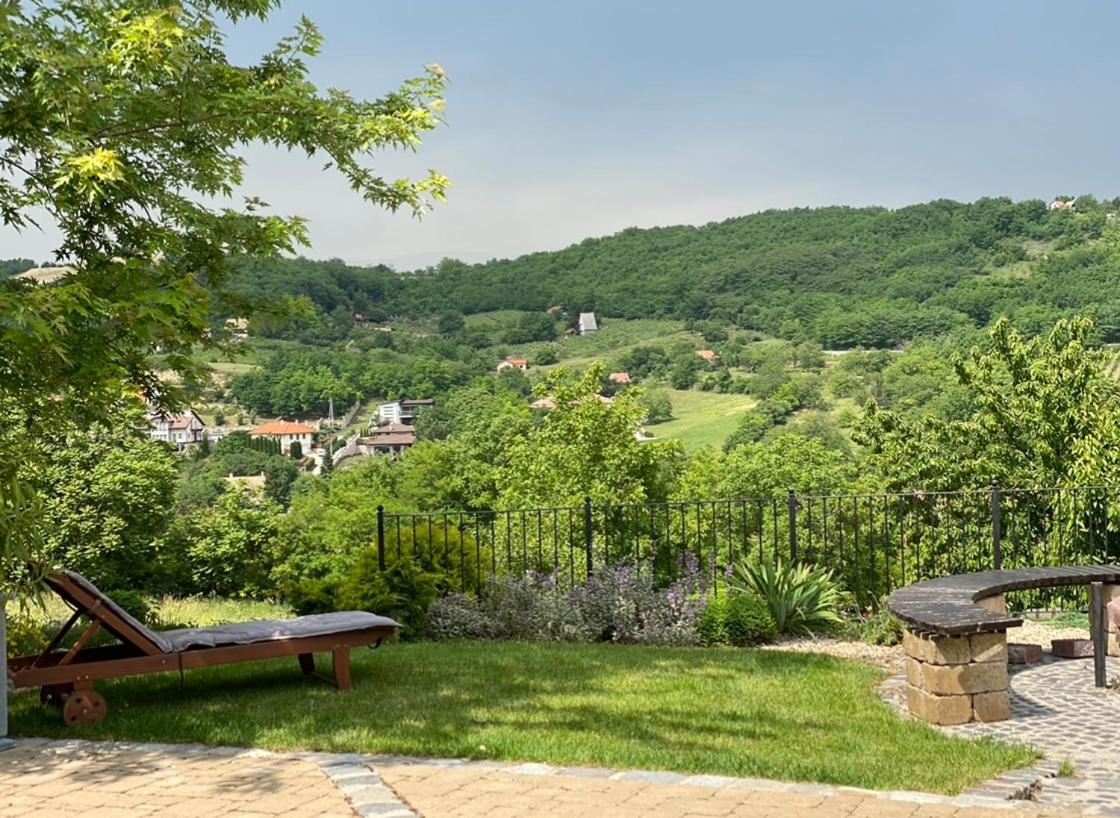 Vass-Villa Vendeghaz Szekszard Bagian luar foto