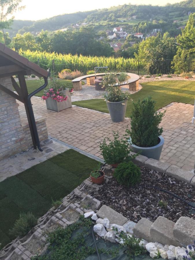 Vass-Villa Vendeghaz Szekszard Bagian luar foto