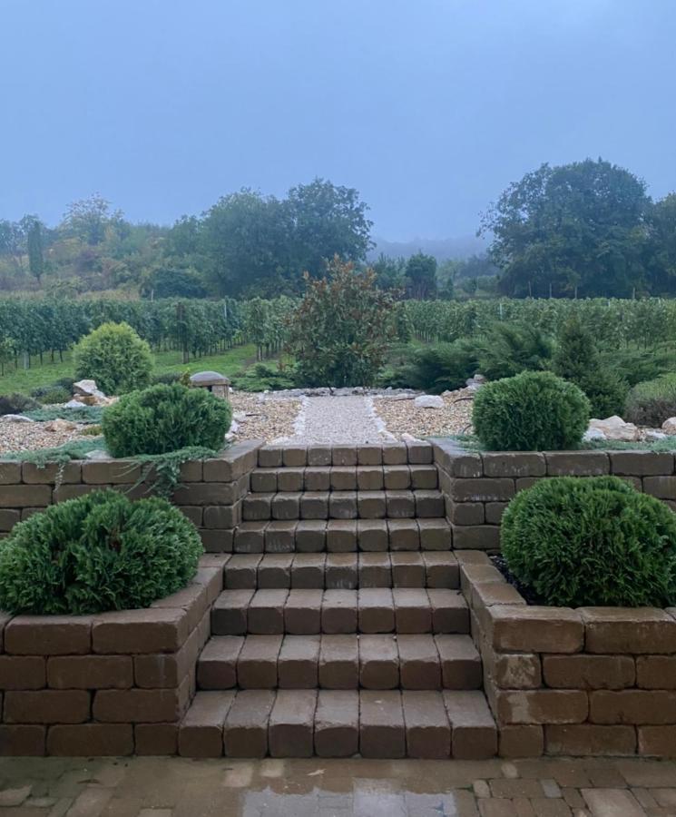Vass-Villa Vendeghaz Szekszard Bagian luar foto