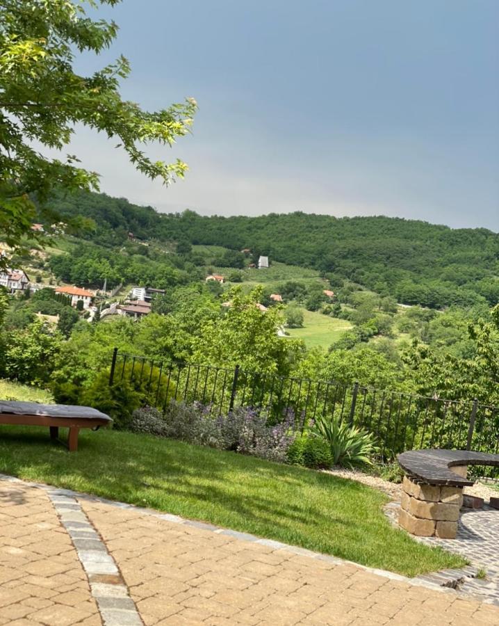 Vass-Villa Vendeghaz Szekszard Bagian luar foto