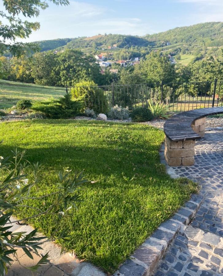 Vass-Villa Vendeghaz Szekszard Bagian luar foto