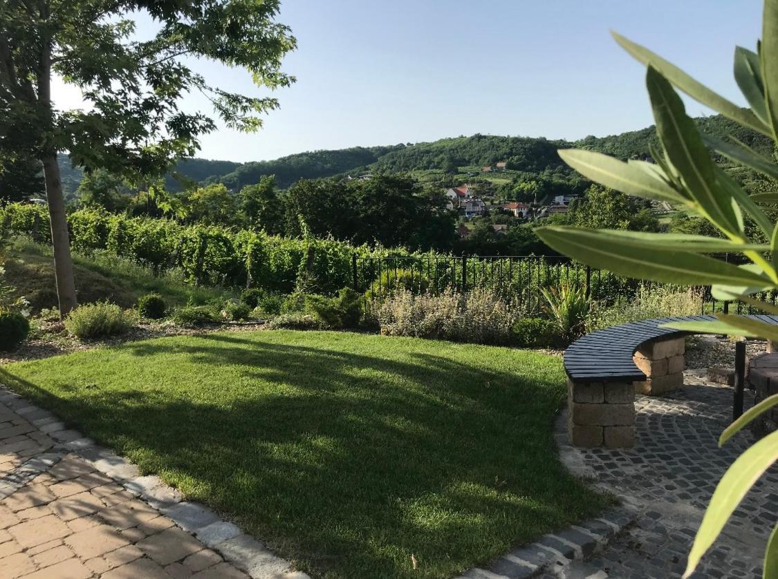 Vass-Villa Vendeghaz Szekszard Bagian luar foto