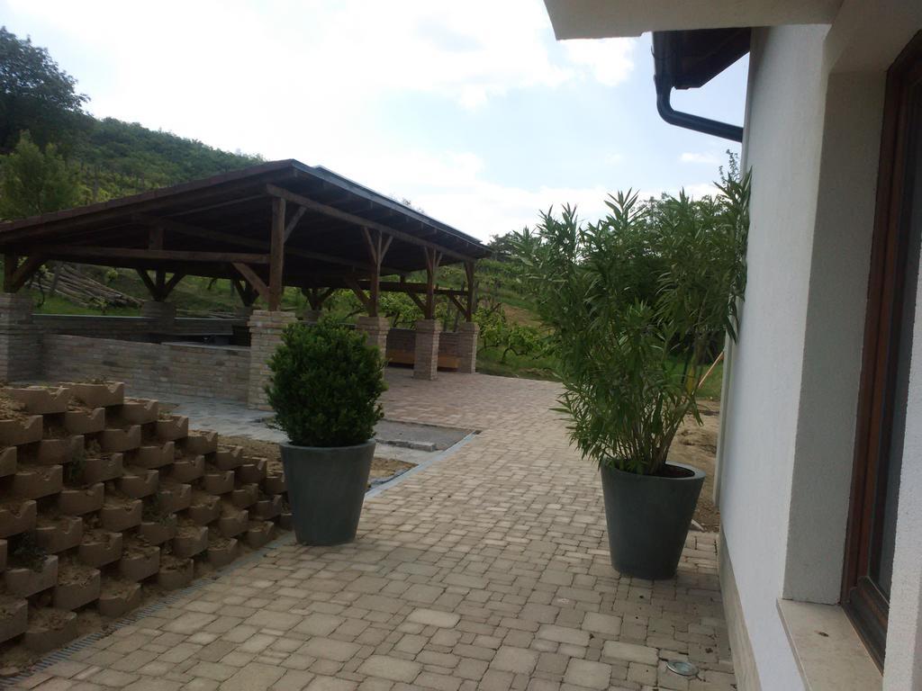 Vass-Villa Vendeghaz Szekszard Bagian luar foto