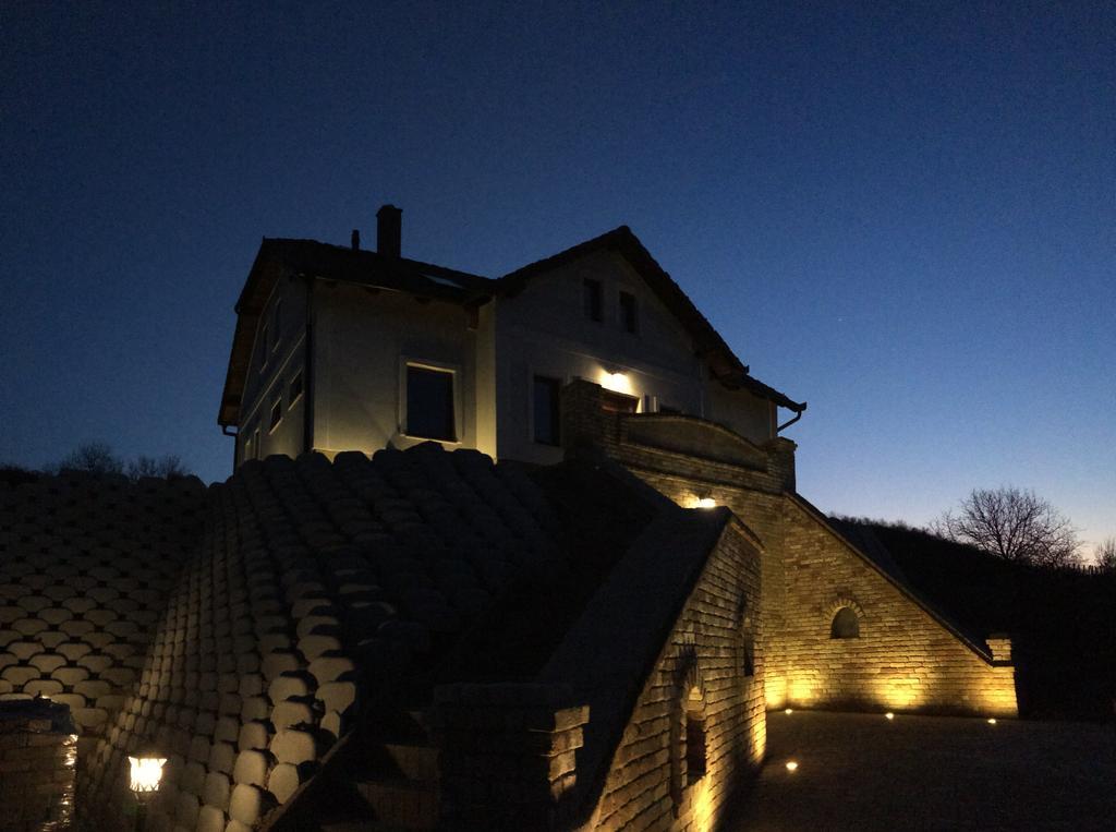 Vass-Villa Vendeghaz Szekszard Bagian luar foto