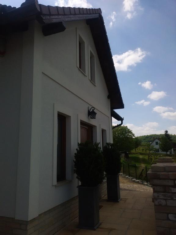 Vass-Villa Vendeghaz Szekszard Bagian luar foto