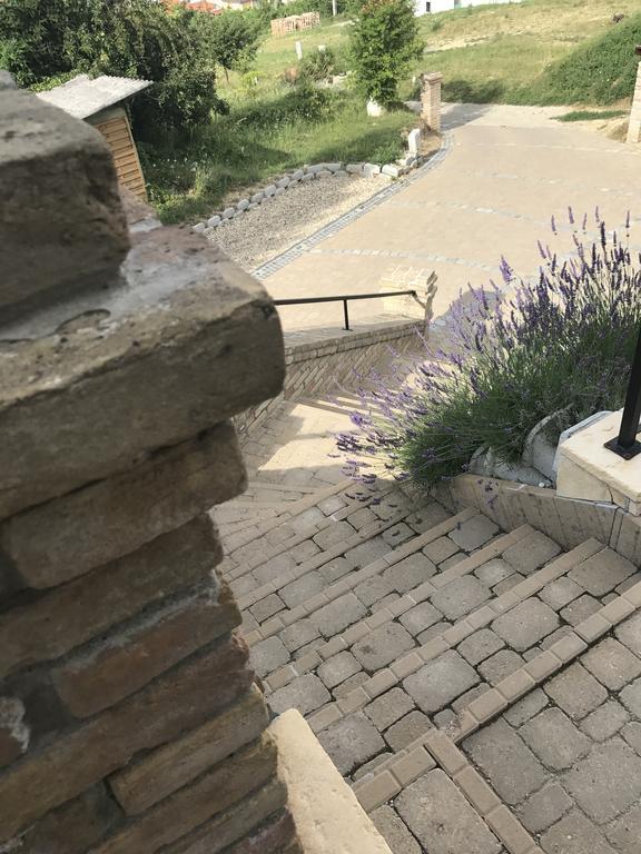 Vass-Villa Vendeghaz Szekszard Bagian luar foto
