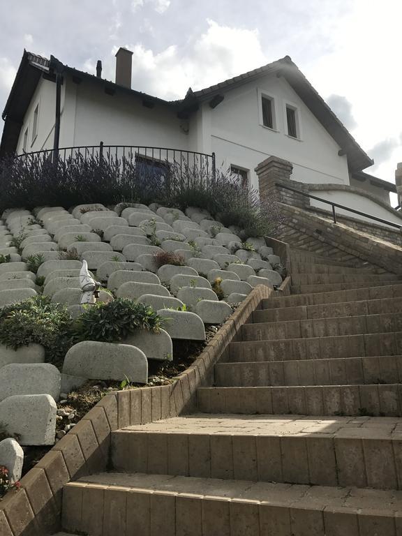 Vass-Villa Vendeghaz Szekszard Bagian luar foto