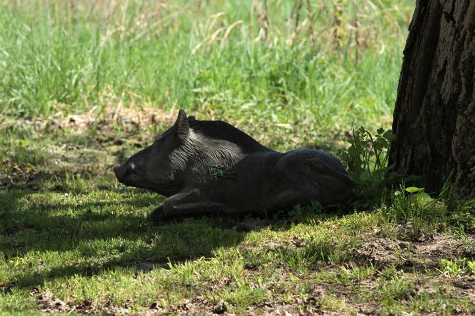 Vass-Villa Vendeghaz Szekszard Bagian luar foto